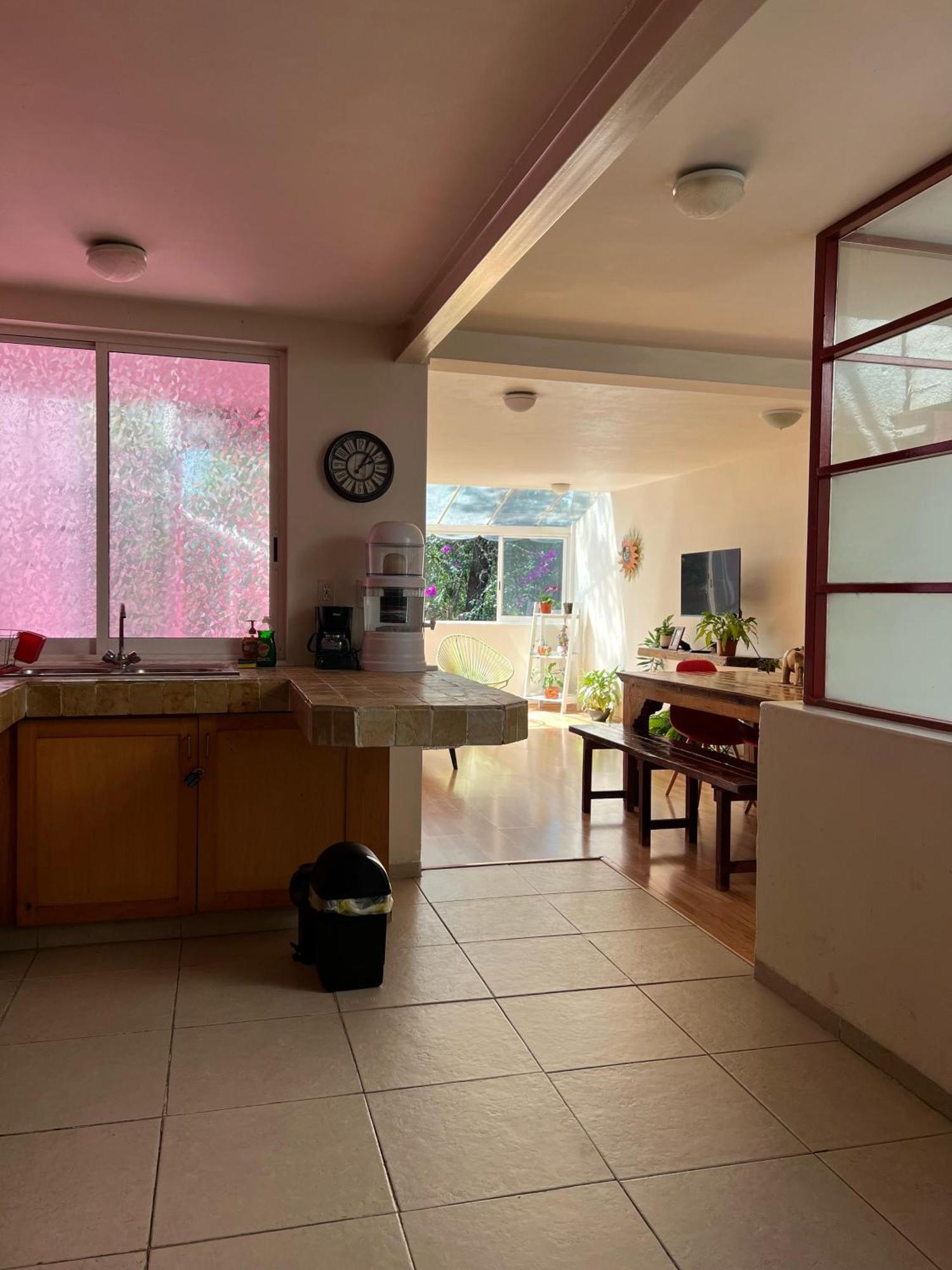 Appartamento Departamentos Mi Querido Coyoacan